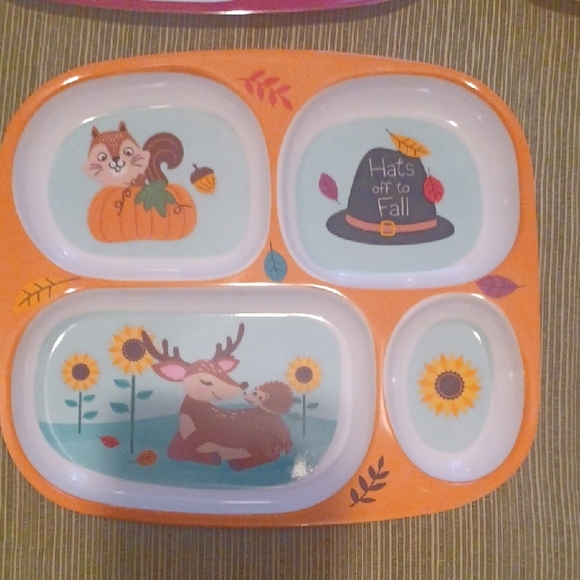 Colorful Animal-Themed Divided Plates - Picture 4 of 9